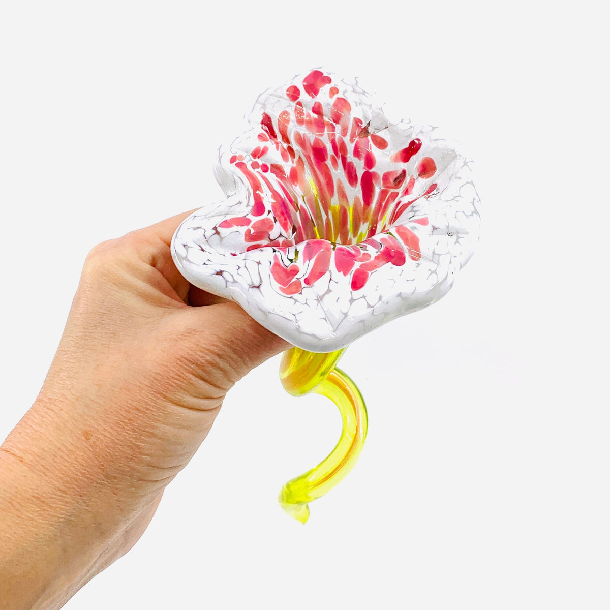 Pulled Glass Flower 10 Decor Luke Adams Glass Blowing Studio 