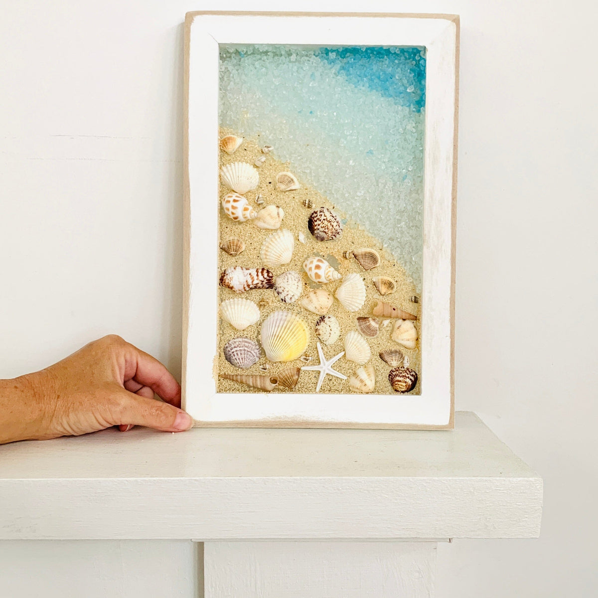Shells Shadow Box Frame