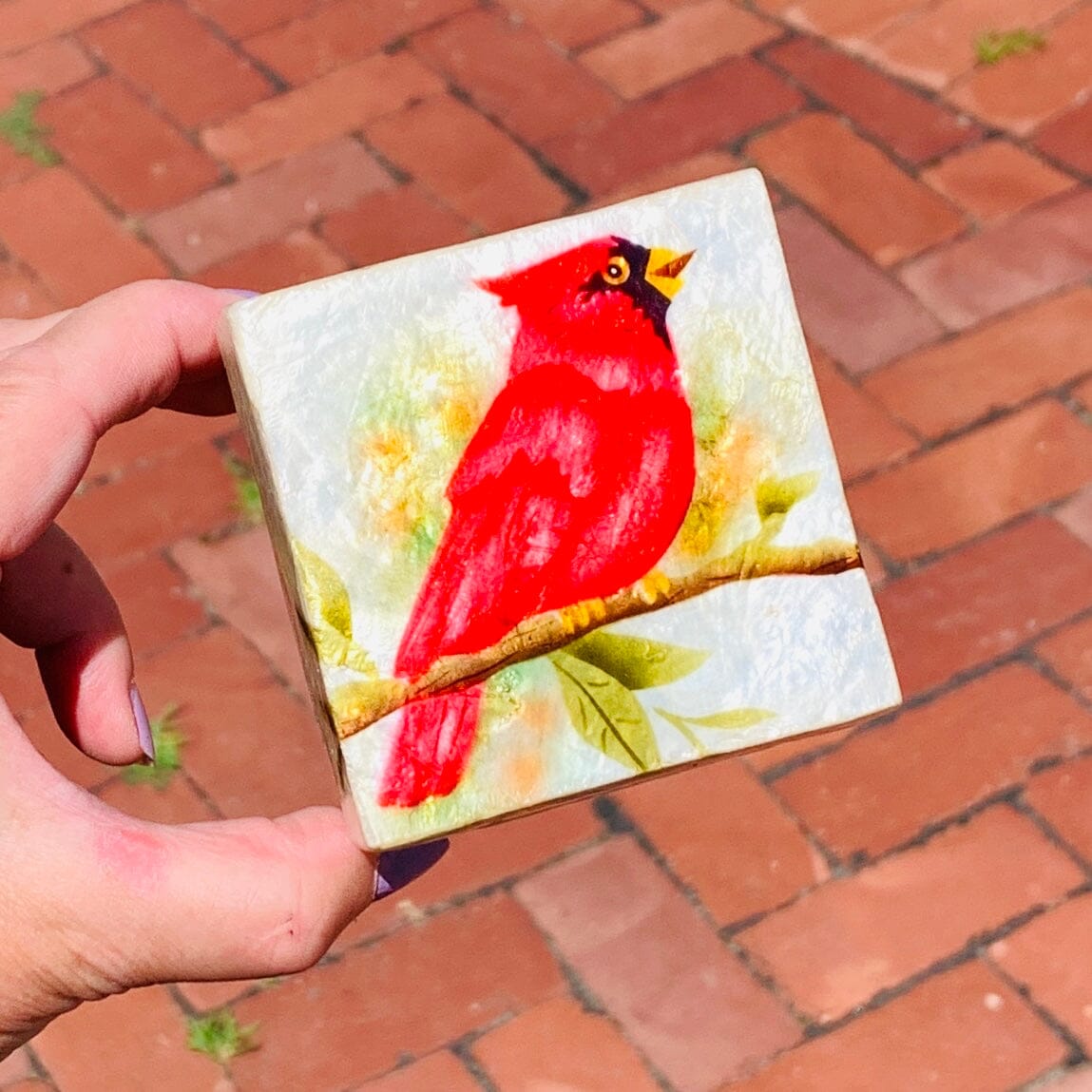 Capiz Shell Trinket Box 4, Cardinal Decor Kubla Craft 