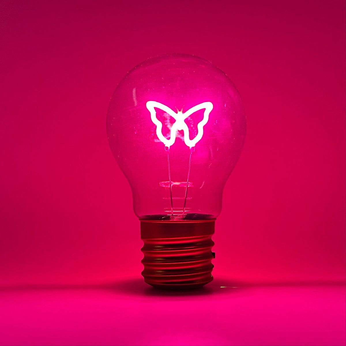 Neon Butterfly Lightbulb 29TONIGHT 