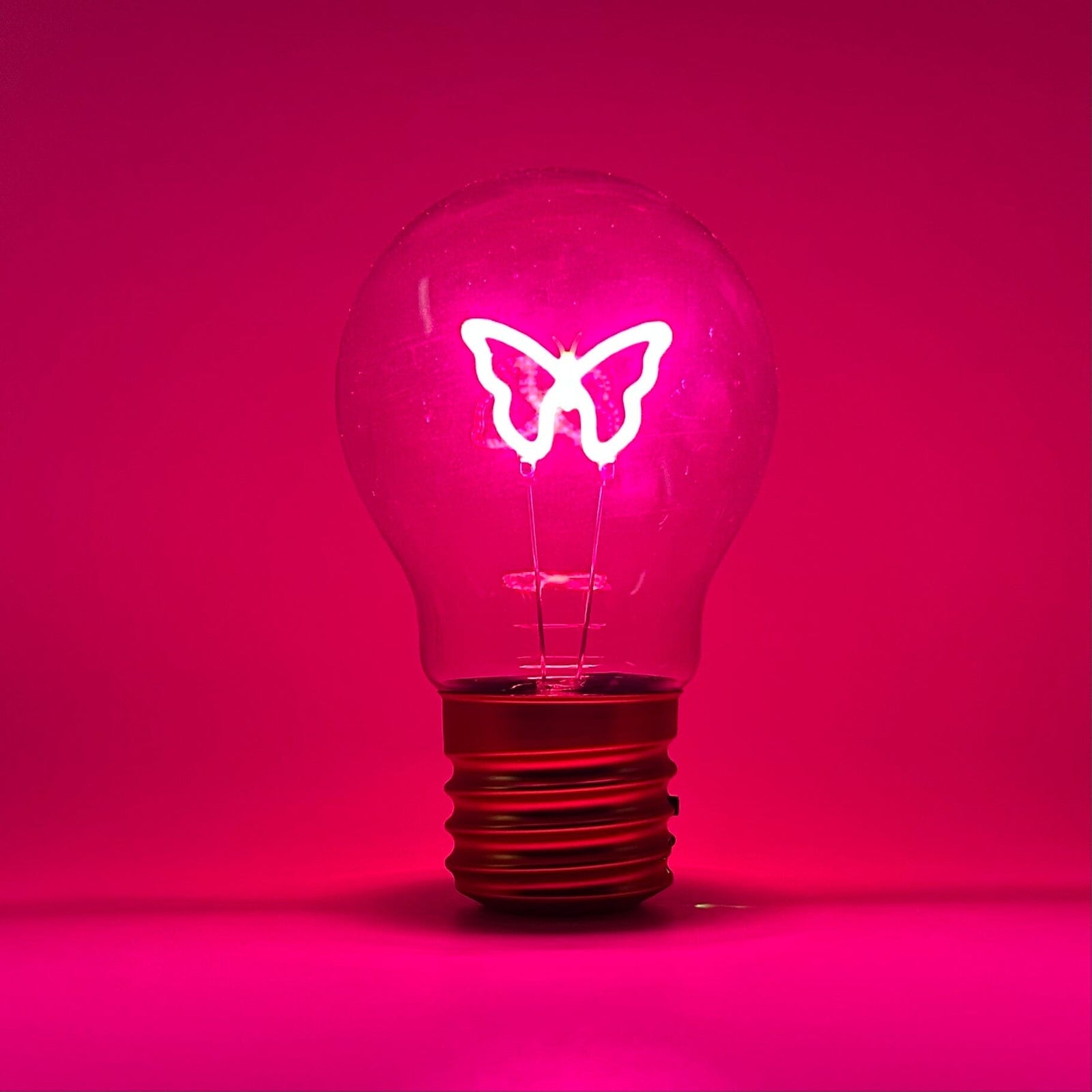 Neon Butterfly Lightbulb 29TONIGHT 