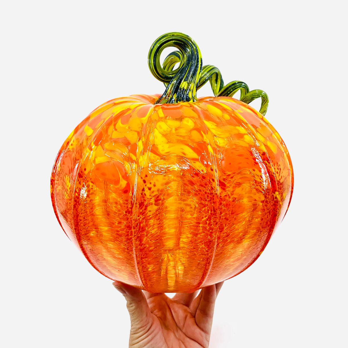 Best Daily Pumpkin 3449 Fall Large