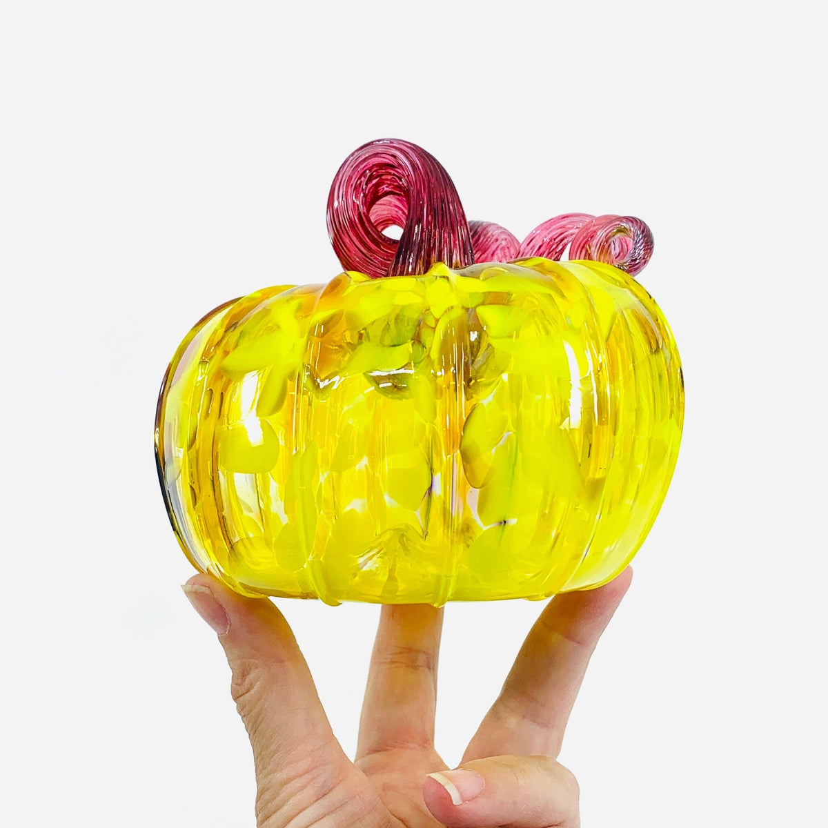 Daily Pumpkin 2681 Oops Squat