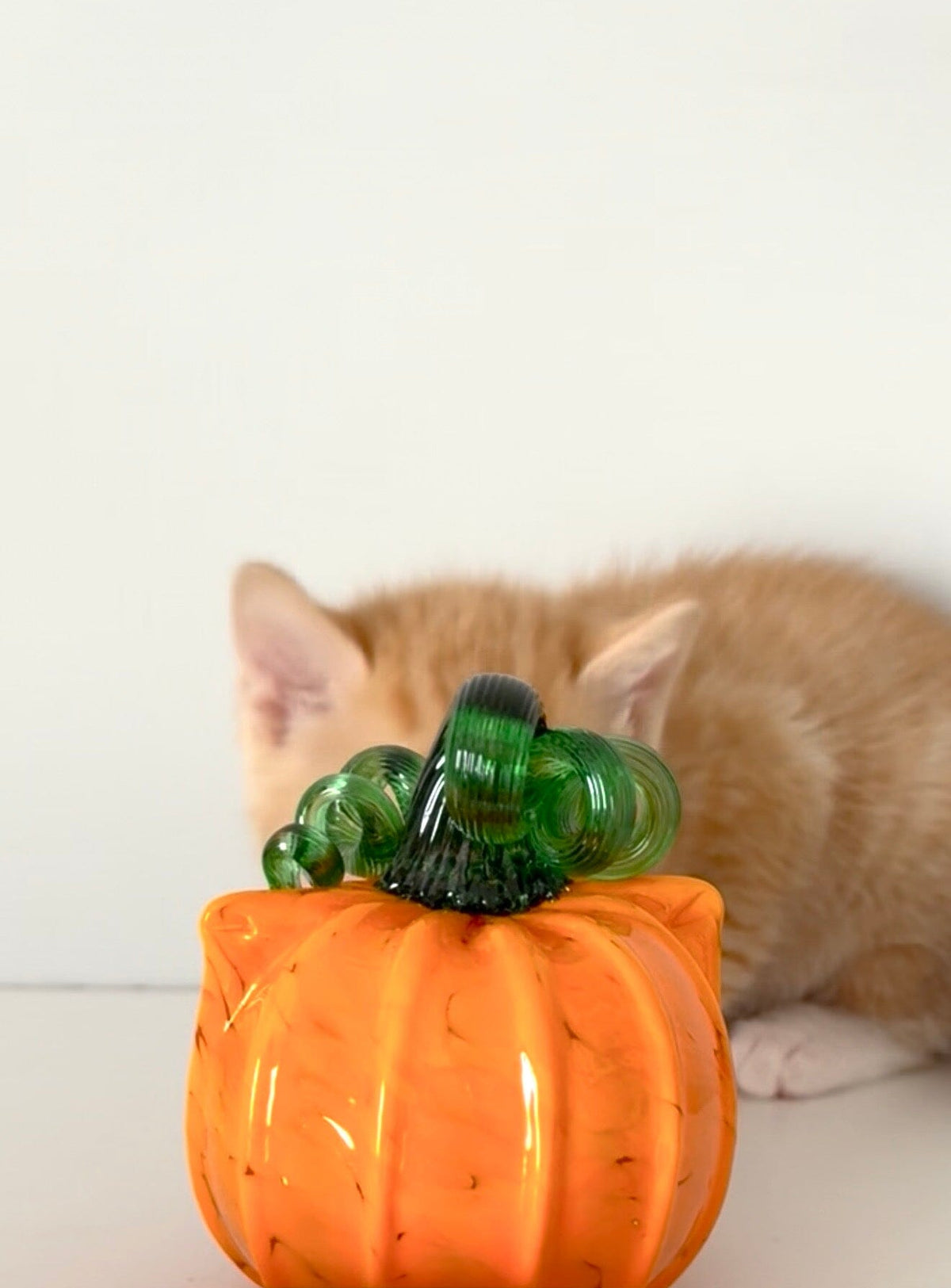Orange Cat-kin Pumpkin Inspo Luke Adams Glass Blowing Studio 