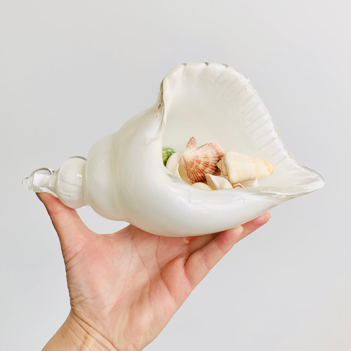 White and Clear Glass Conch Shell Decor Beachcombers 