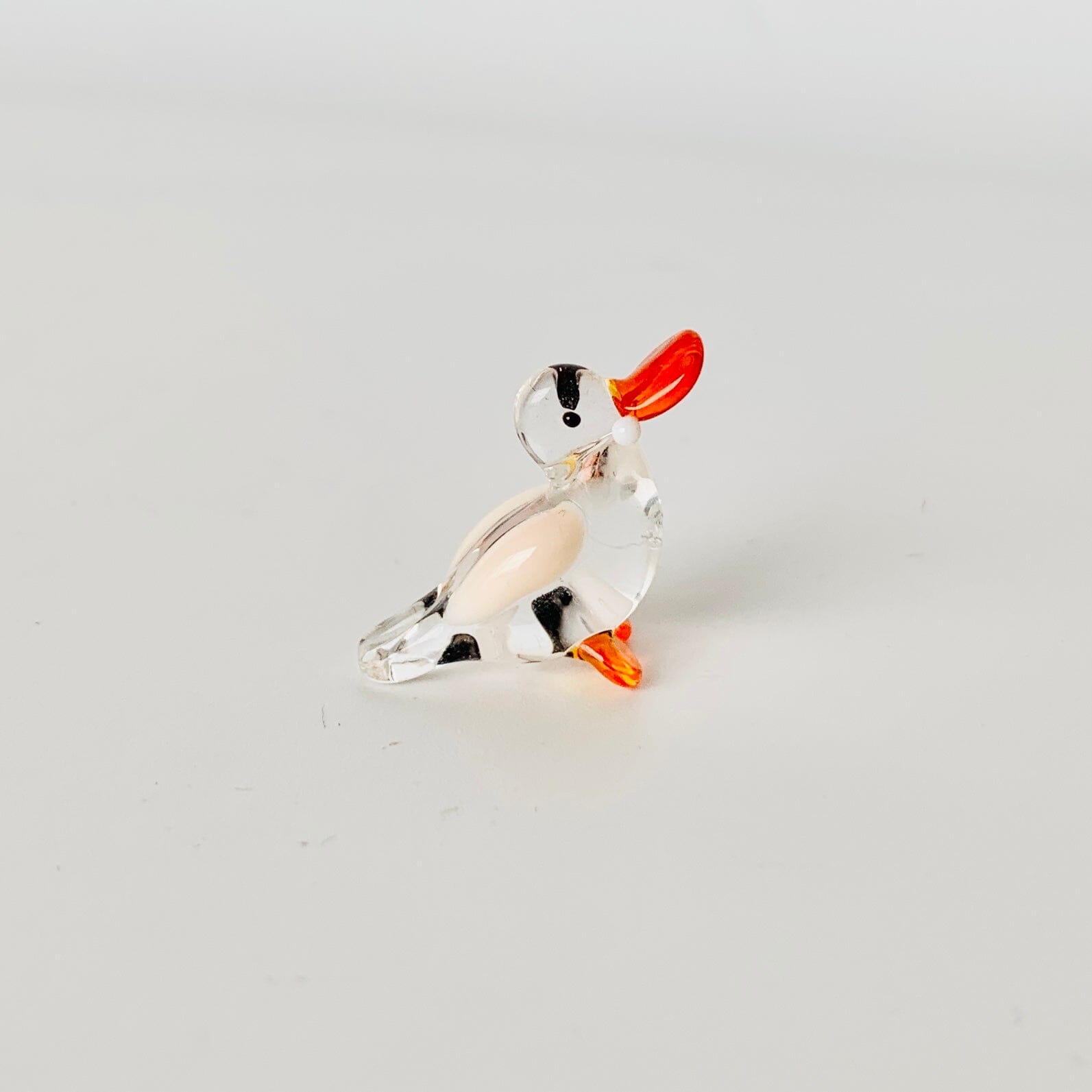 Teeny Teensie Duck 63 JACO 