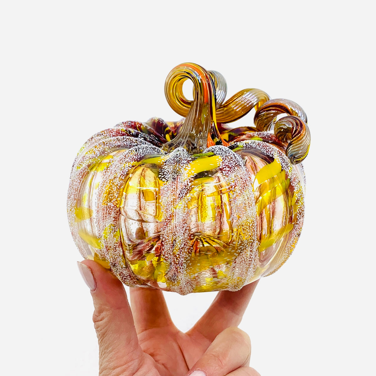 Daily Pumpkin 451 Fall Squat