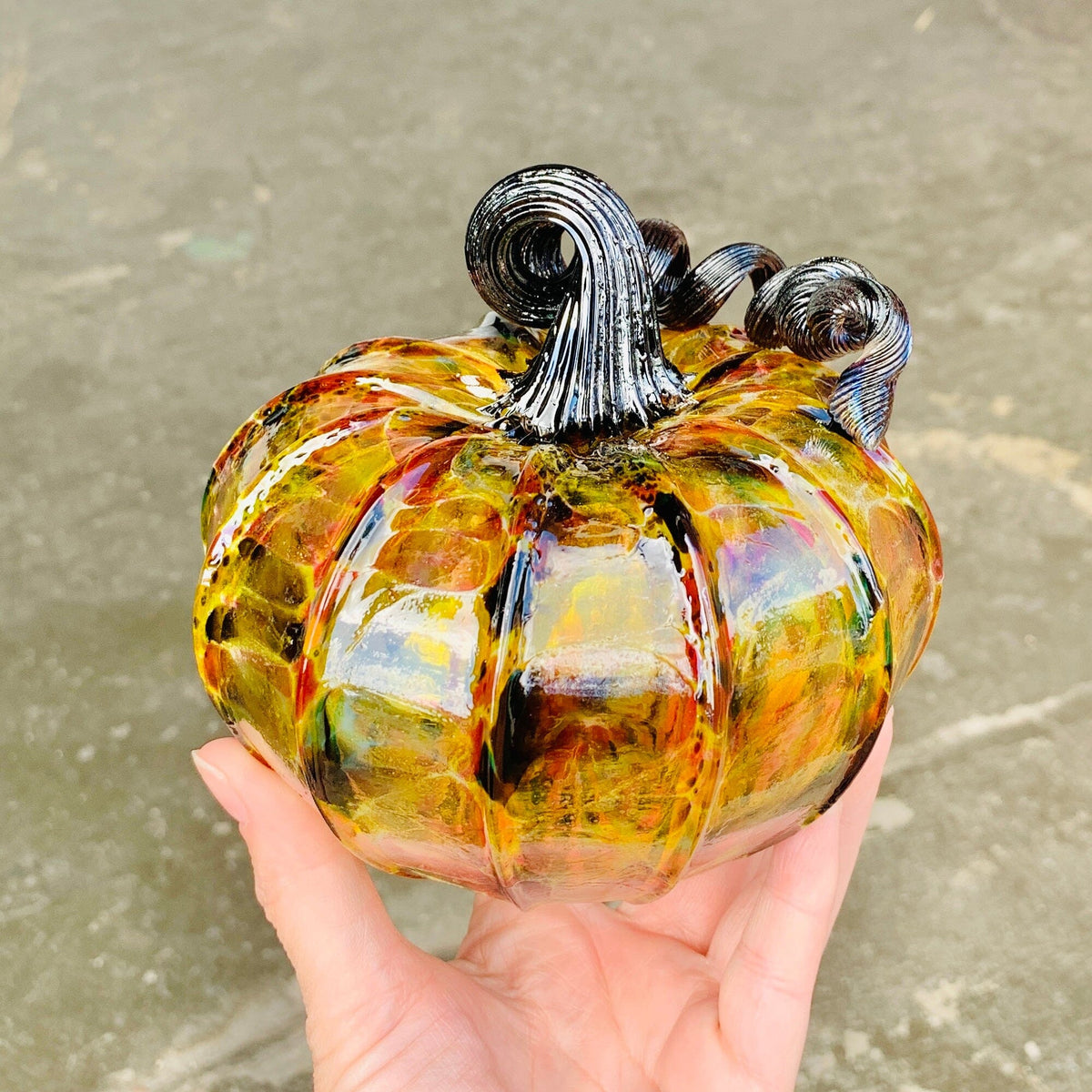 Best Pumpkin of The Day 3812 Fall Jumbo Squat Gabby Luke Adams Glass Blowing Studio 