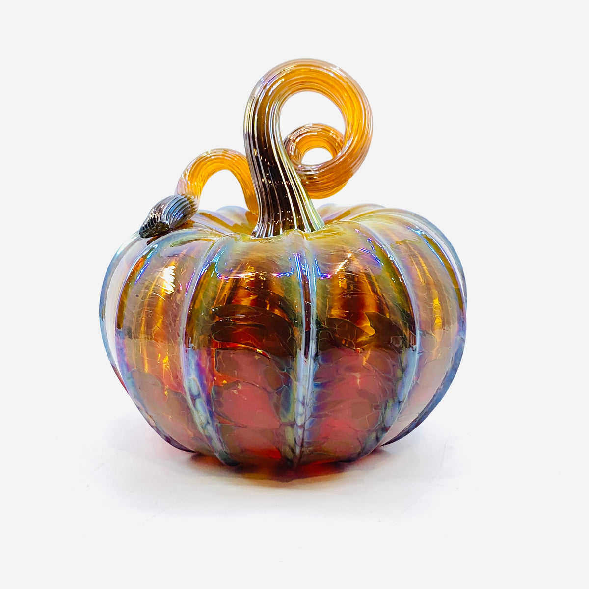 Daily Pumpkin 3701 Fall Squat