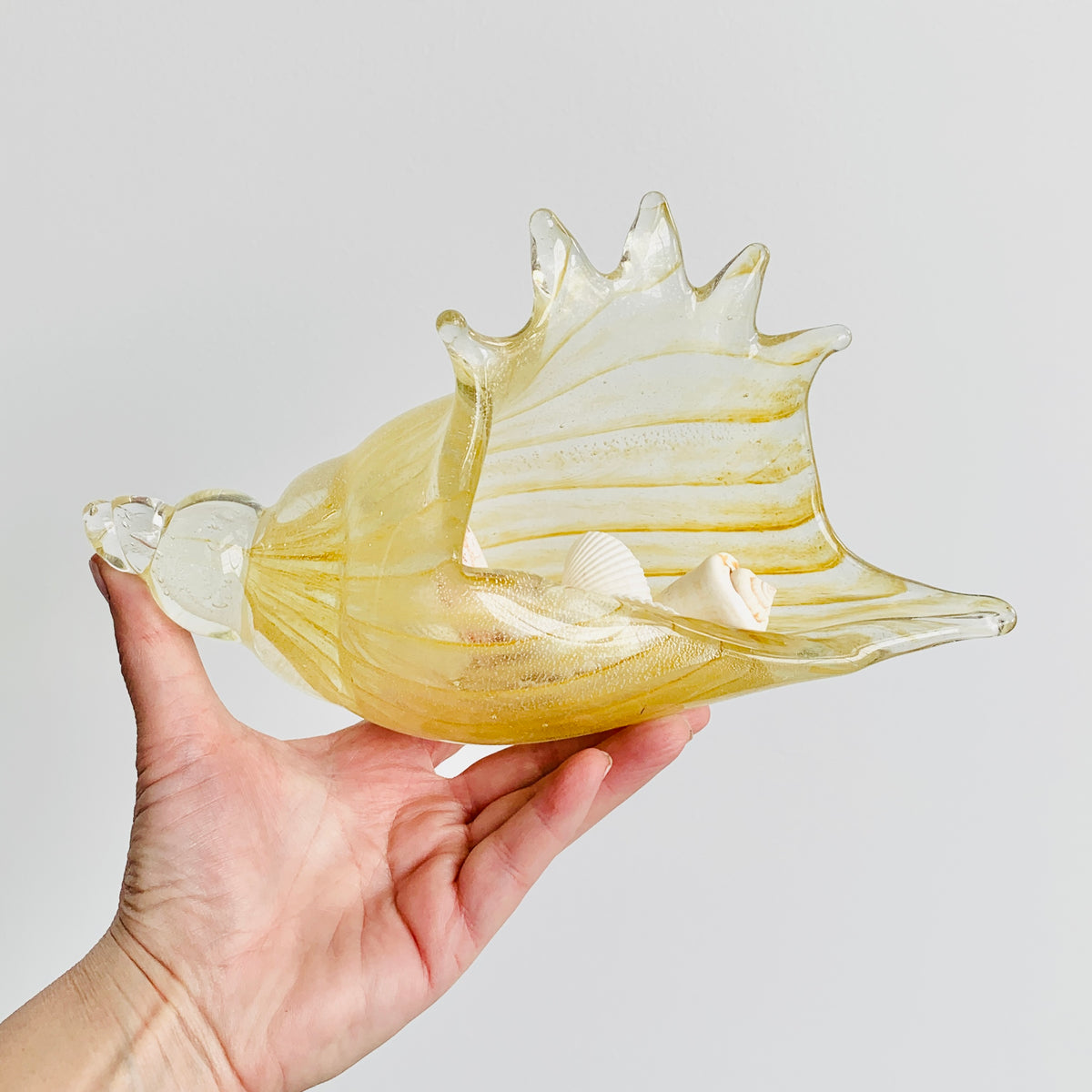Natural Glass Conch Shell