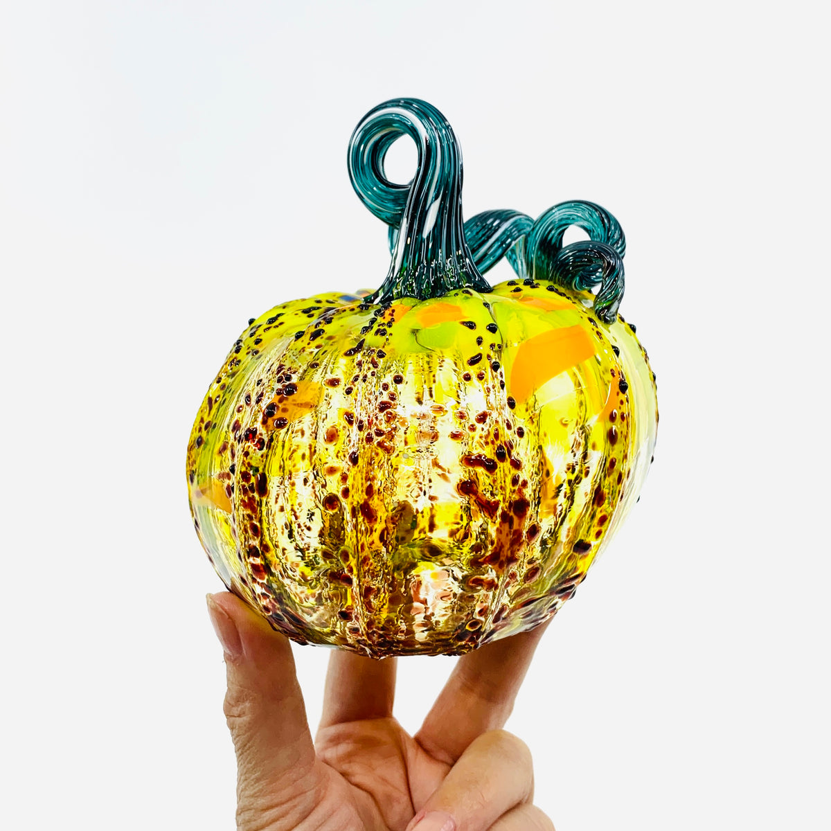 Daily Pumpkin 3388 Oops Squat