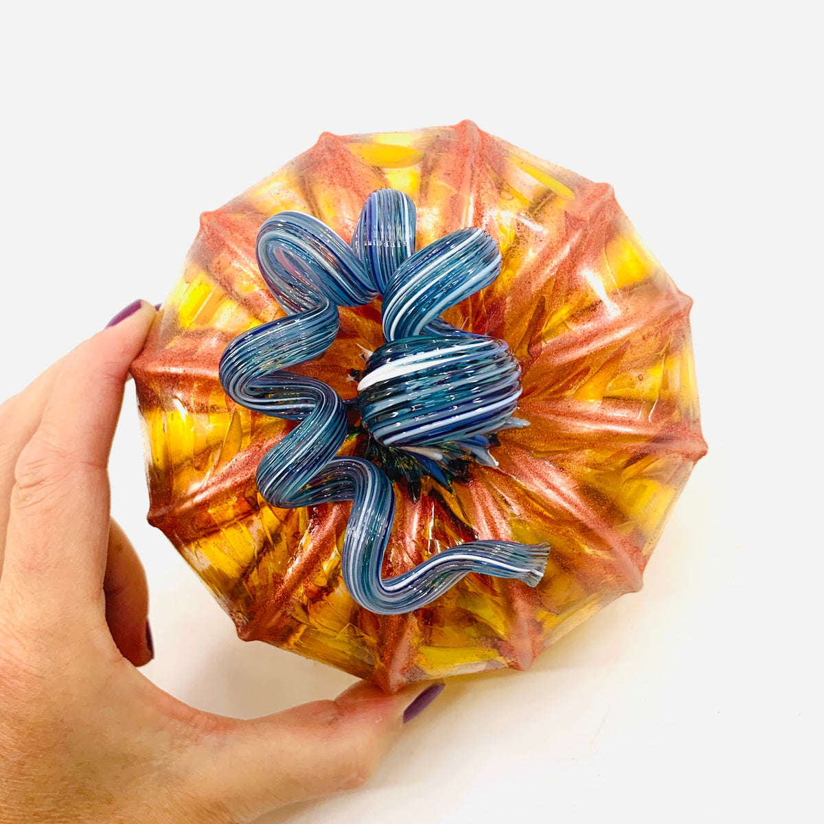 Daily Pumpkin 889 Shimmer Squat