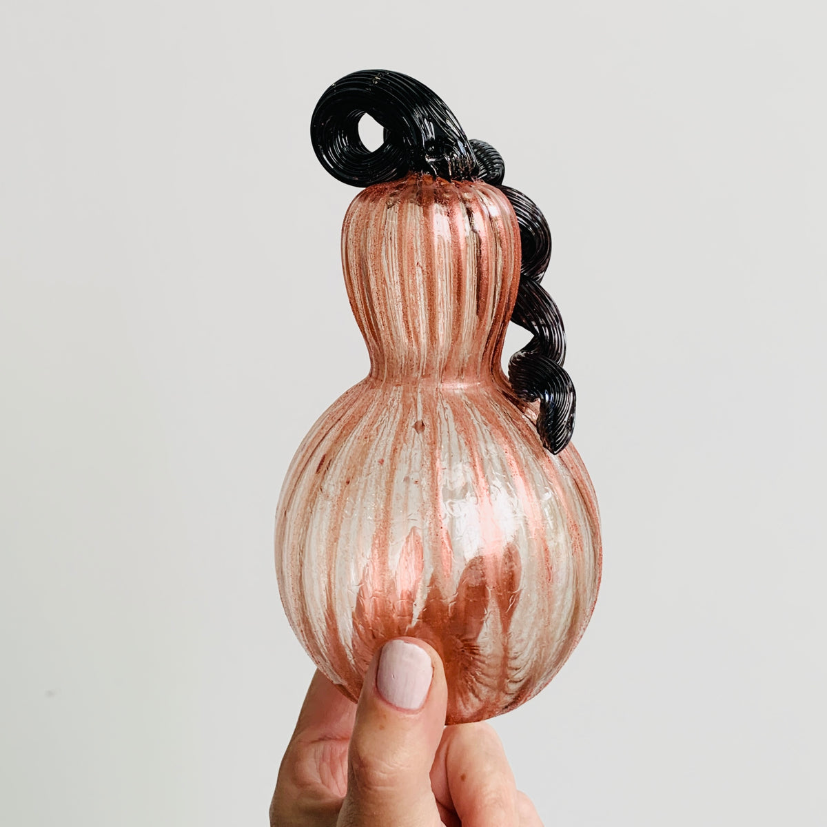 Daily Pumpkin 245 Fall Shimmer Gourd