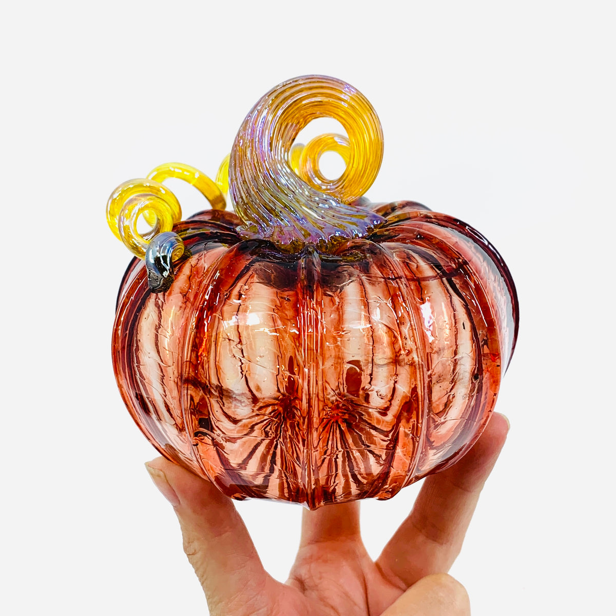 Daily Pumpkin 3188 Fall Squat