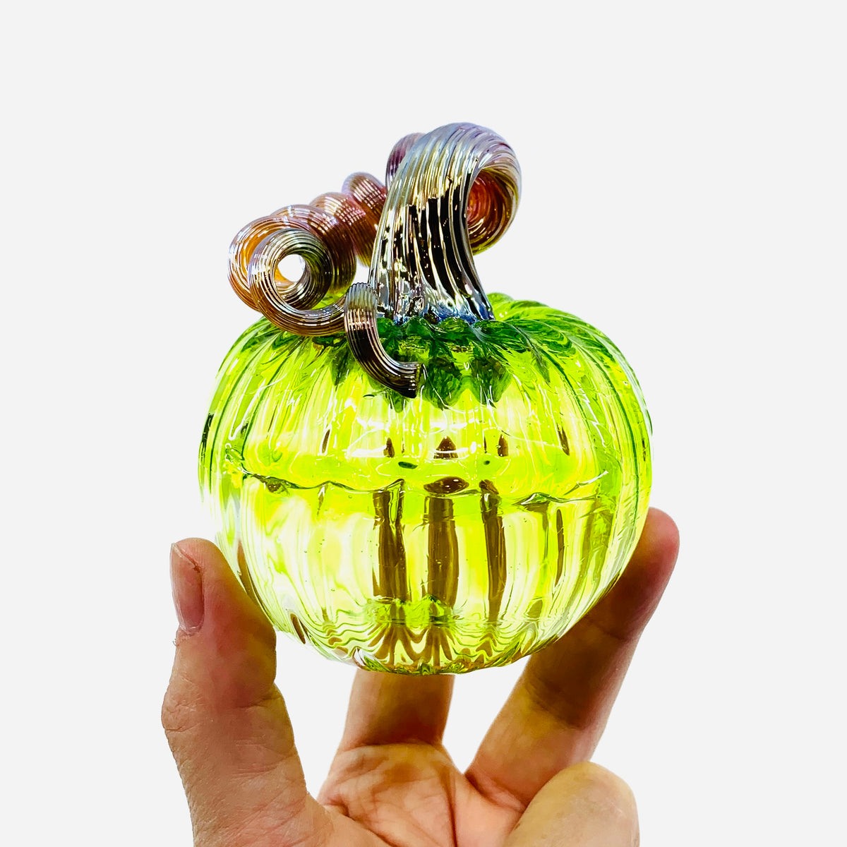 Daily Pumpkin 3518 Oops Mini
