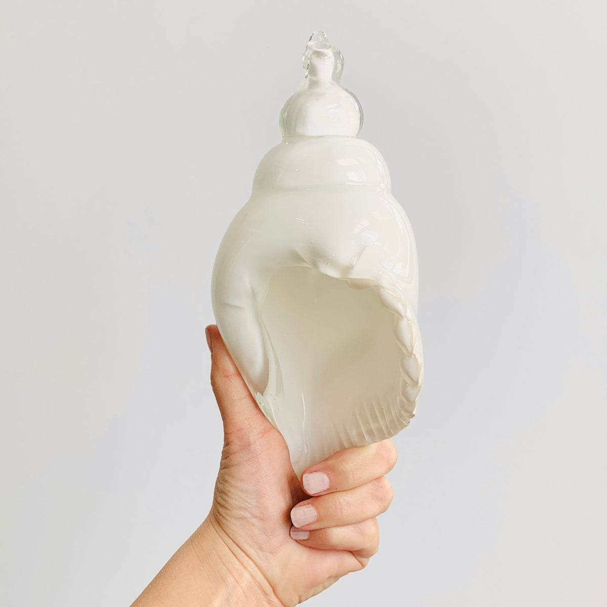 White and Clear Glass Conch Shell Decor Beachcombers 