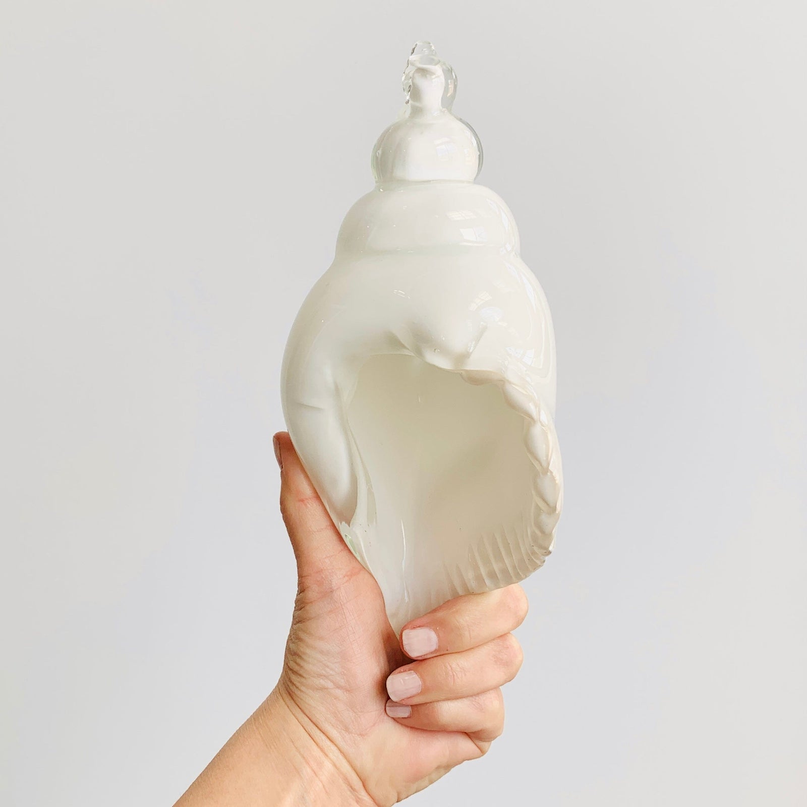 White and Clear Glass Conch Shell Decor Beachcombers 