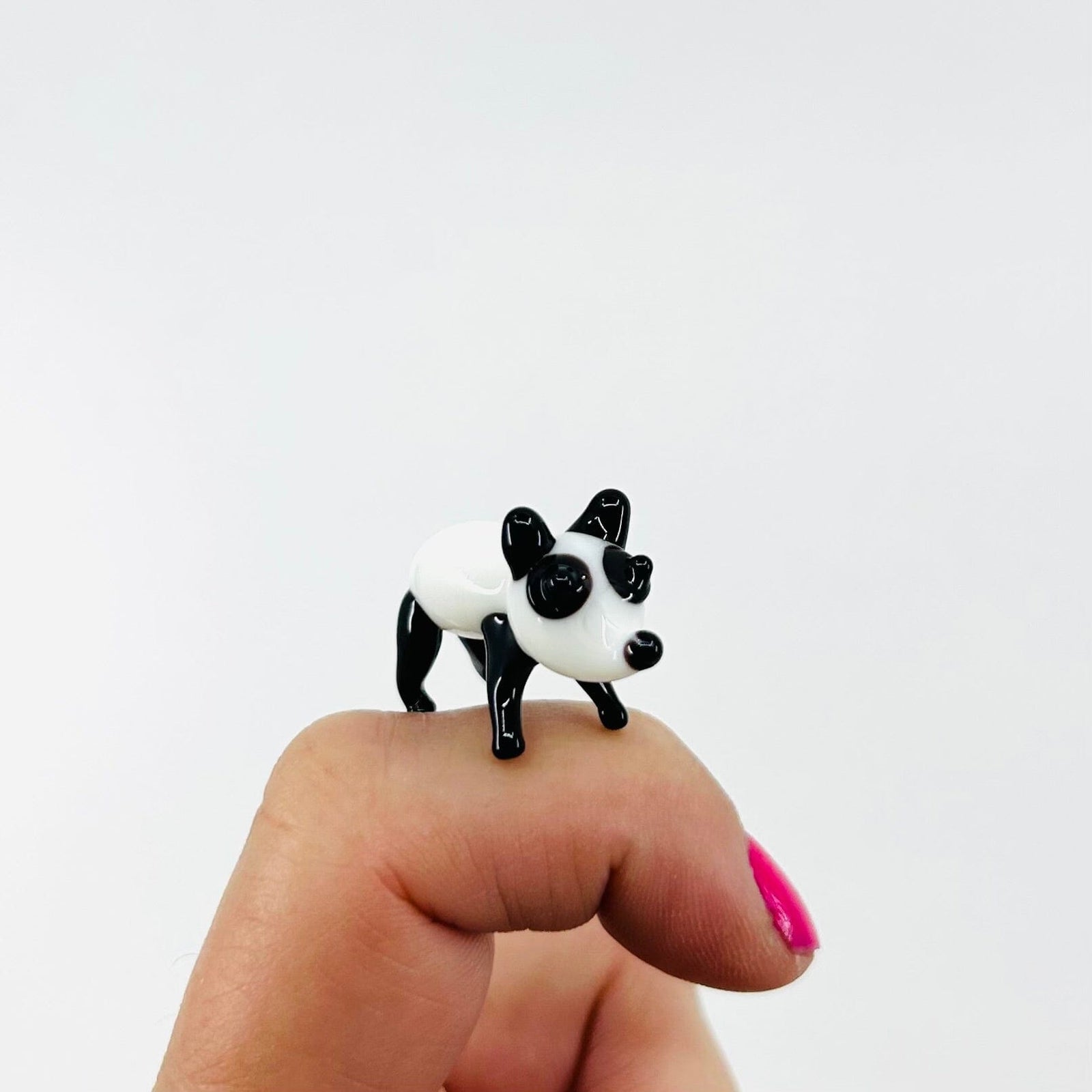 Teeny Teensie Panda JACO 