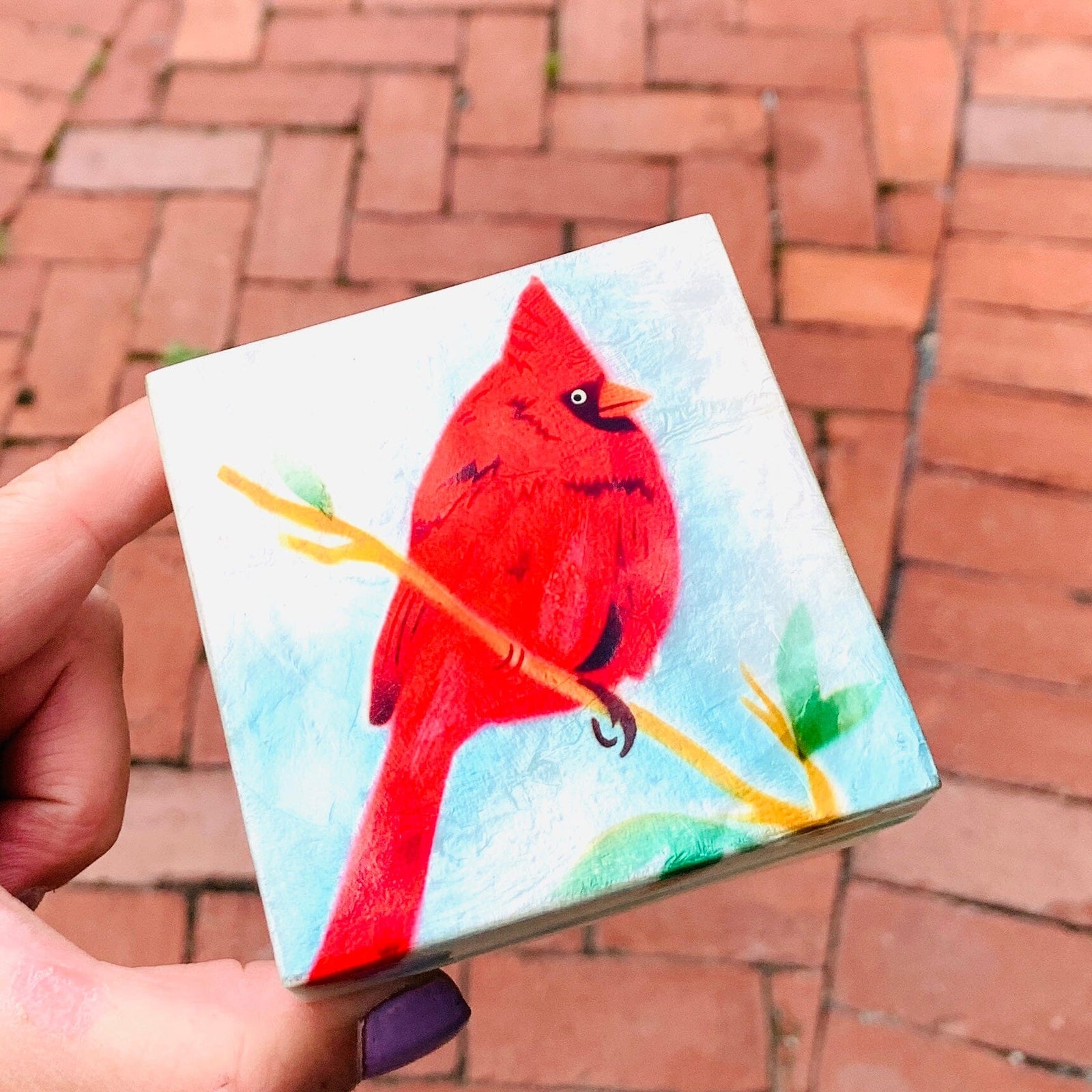 Capiz Shell Trinket Box 9, Cardinal and Sky Decor Kubla Craft 