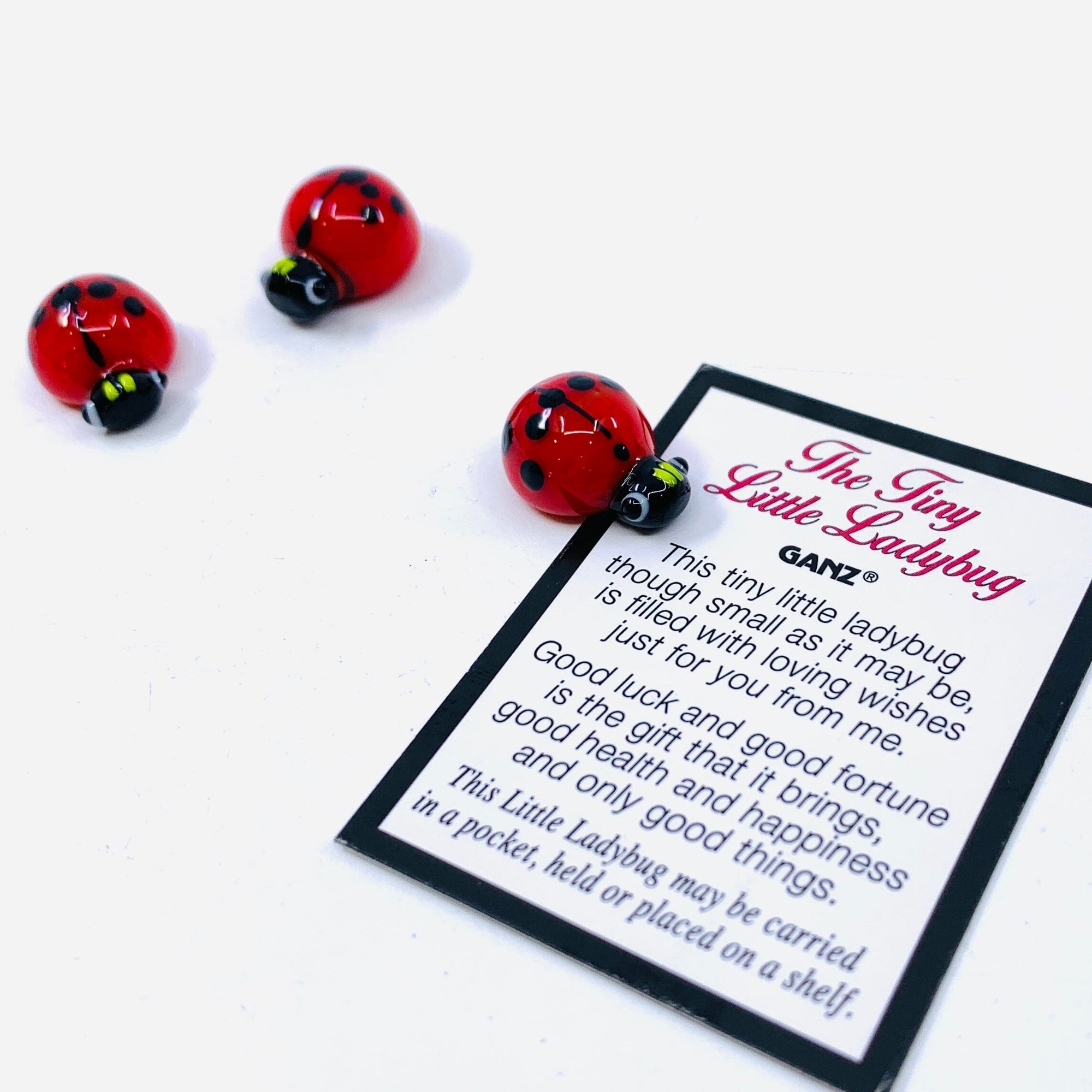 The Tiny Little Ladybug Pocket Charm PT54 Miniature GANZ 