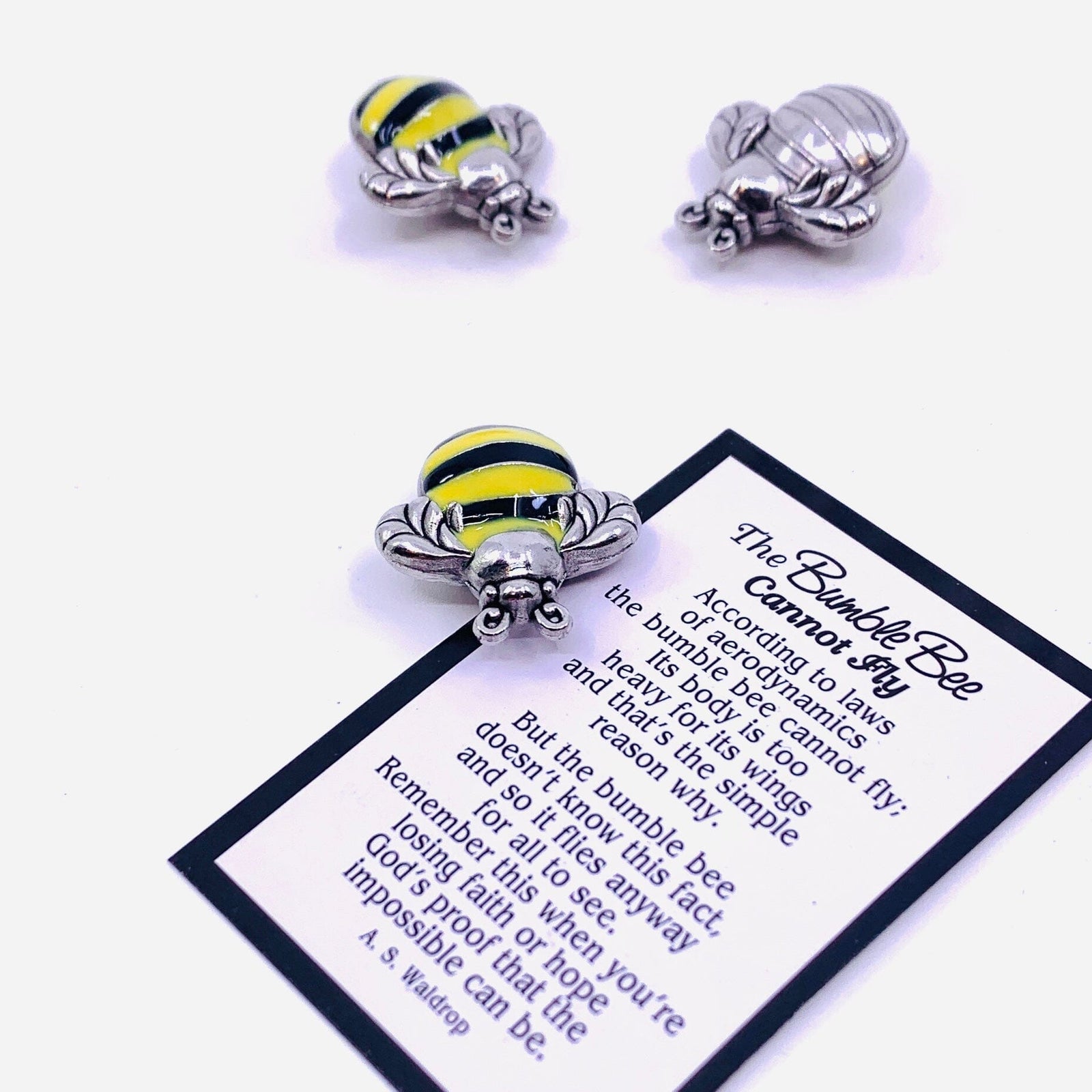 The Bumble Bee Cannot Fly Pocket Charm PT25 Miniature GANZ 