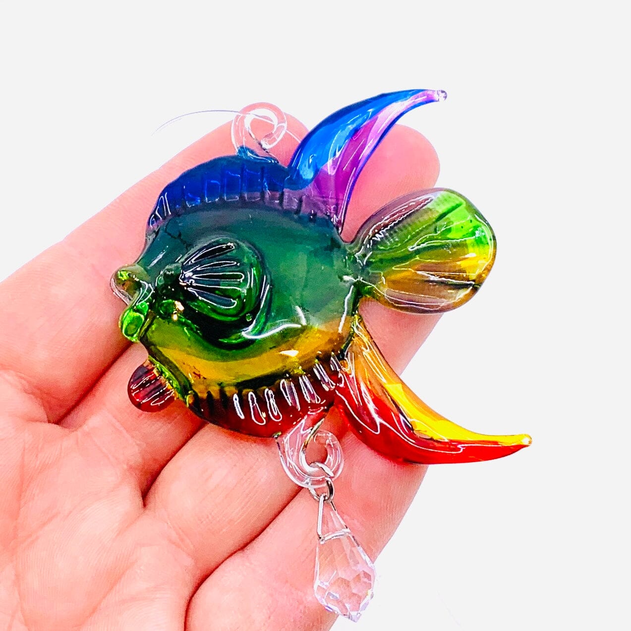 Dazzle Glass Fish, Rainbow 12 Alex 