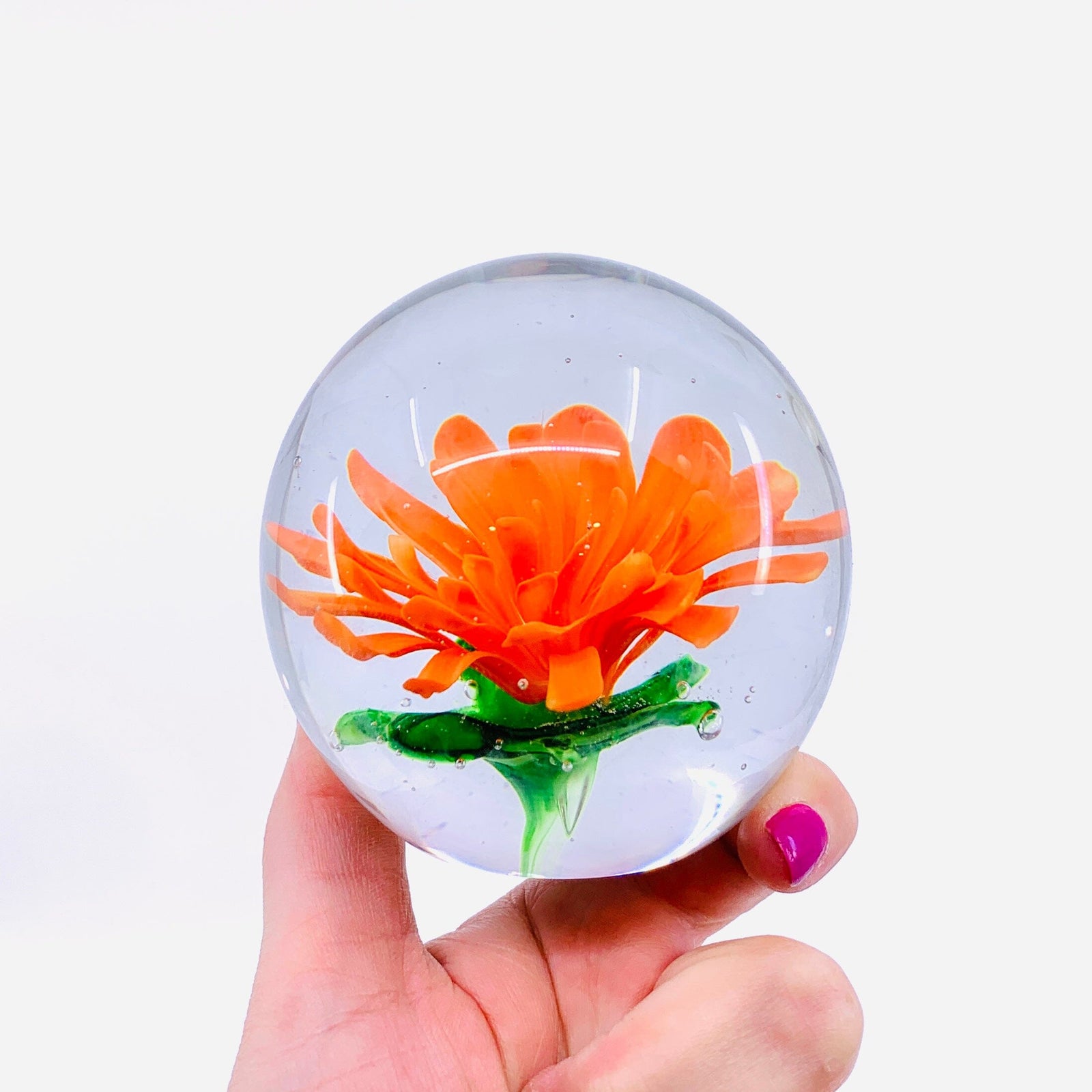 Chrysanthemum Paperweight Paperweight Dynasty 