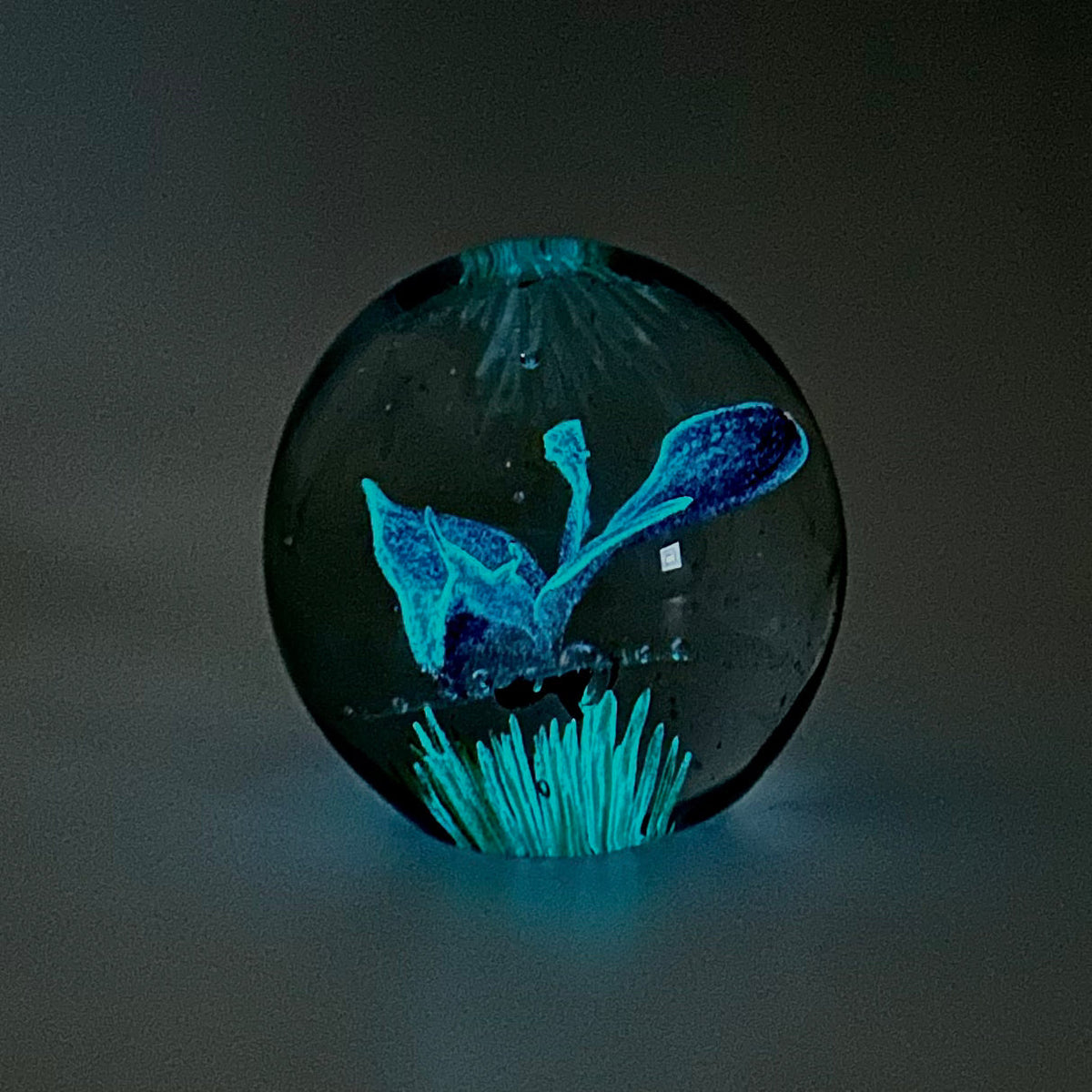 Glow in The Dark Butterfly Paperweight Paperweight Dynasty 