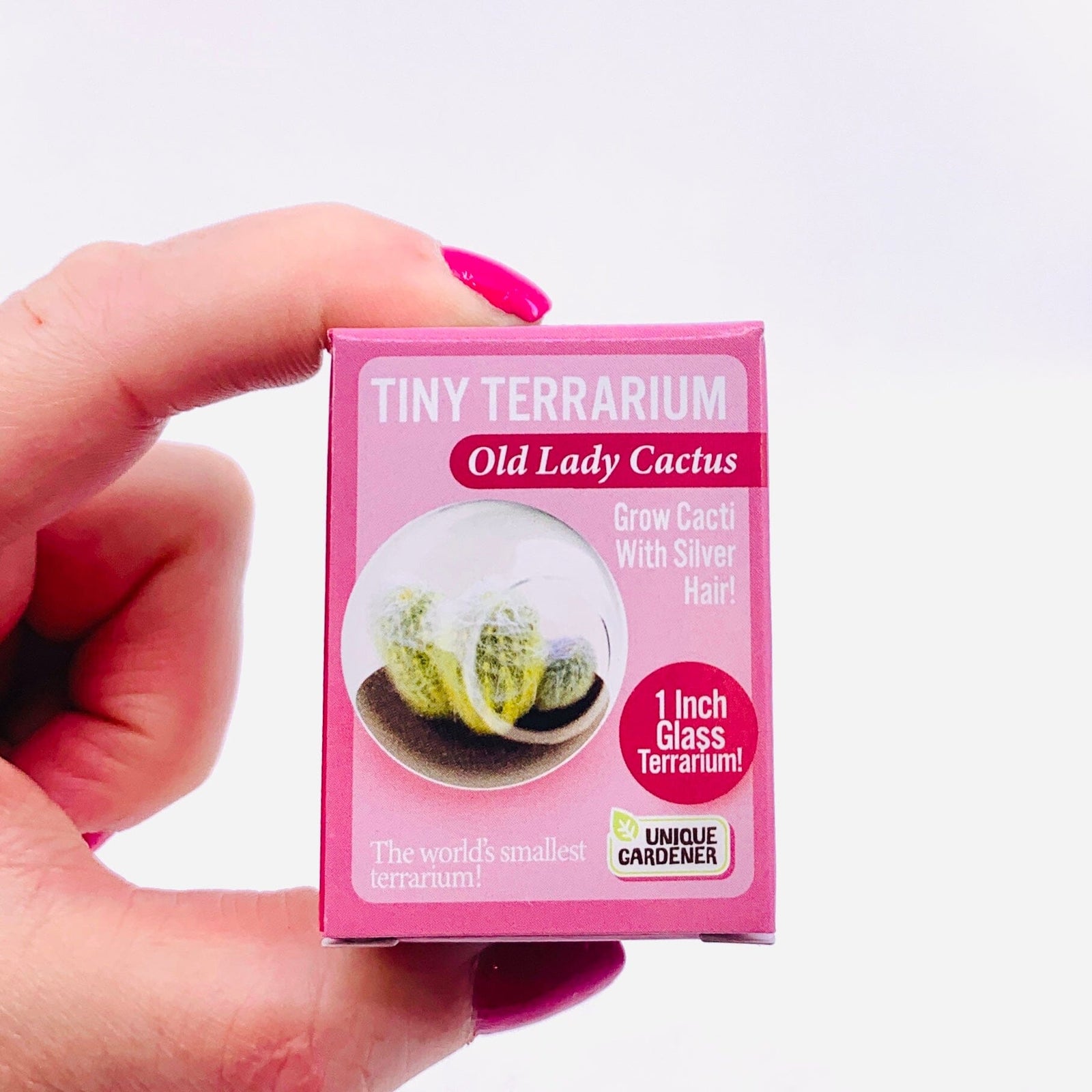 Tiny Terrarium, Old Lady Cactus Silver Circle Products 