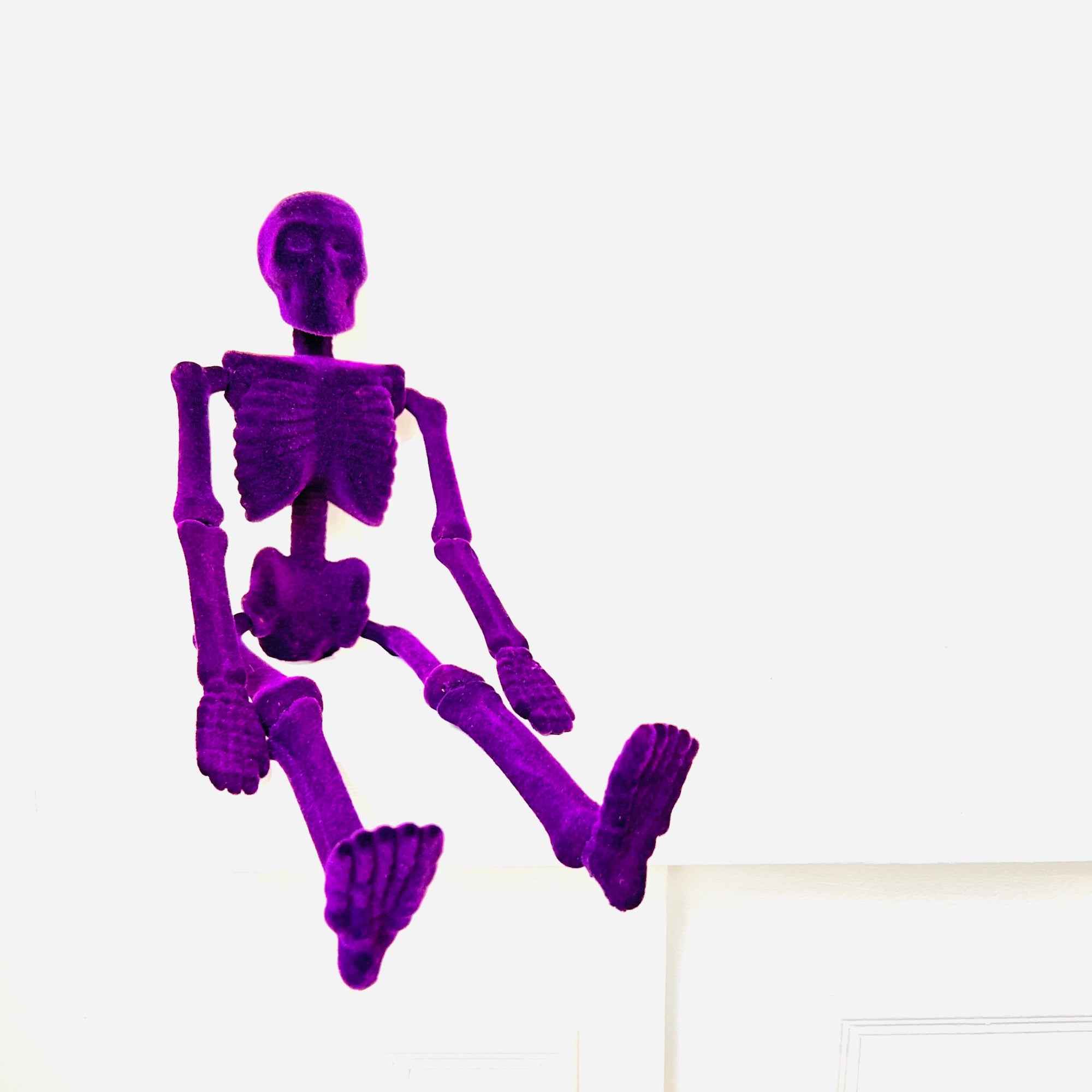 Flocked Skeleton - Purple One Hundred 80 Degrees 