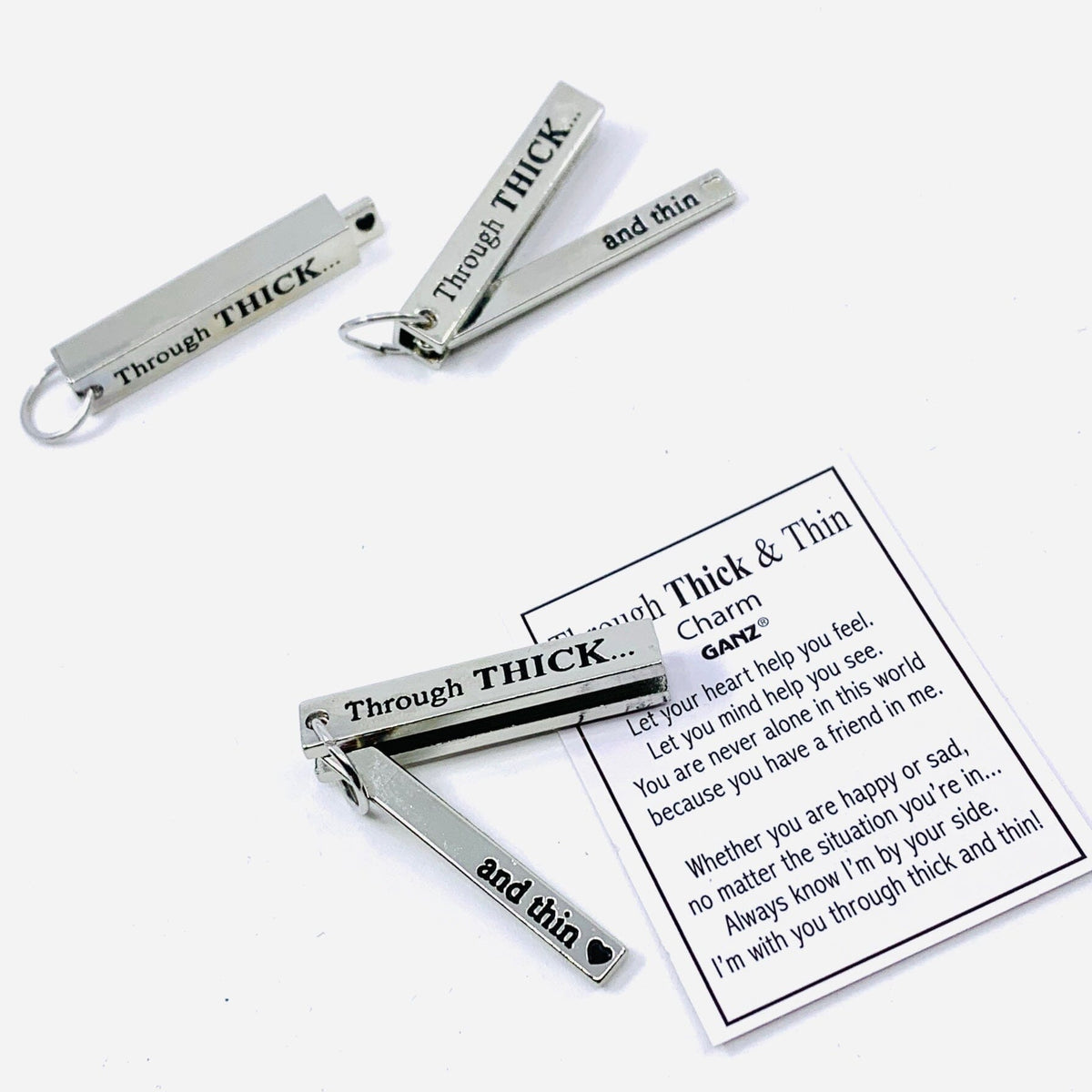 Through Thick and Thin Pocket Charm PT55 Miniature GANZ 