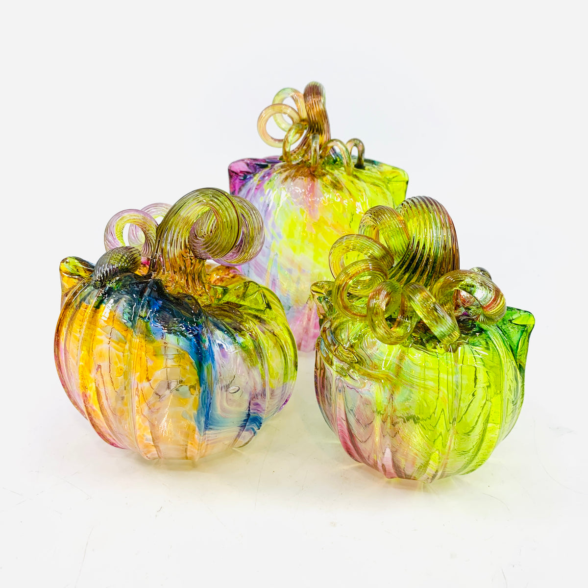 Rainbow Aurora “Oops” Catkin