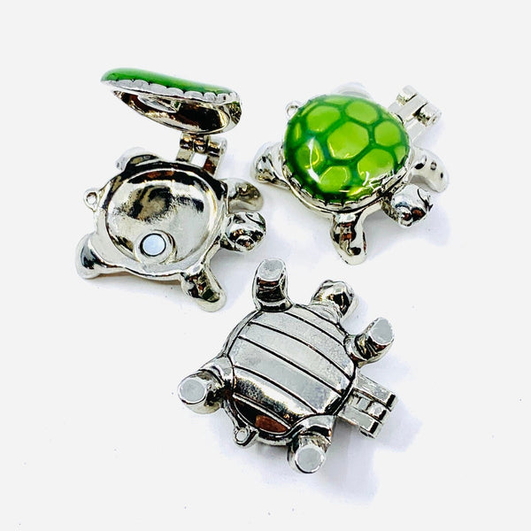 Turtle Wish Box Pocket Charm PT39 - Luke Adams Glass Blowing Studio