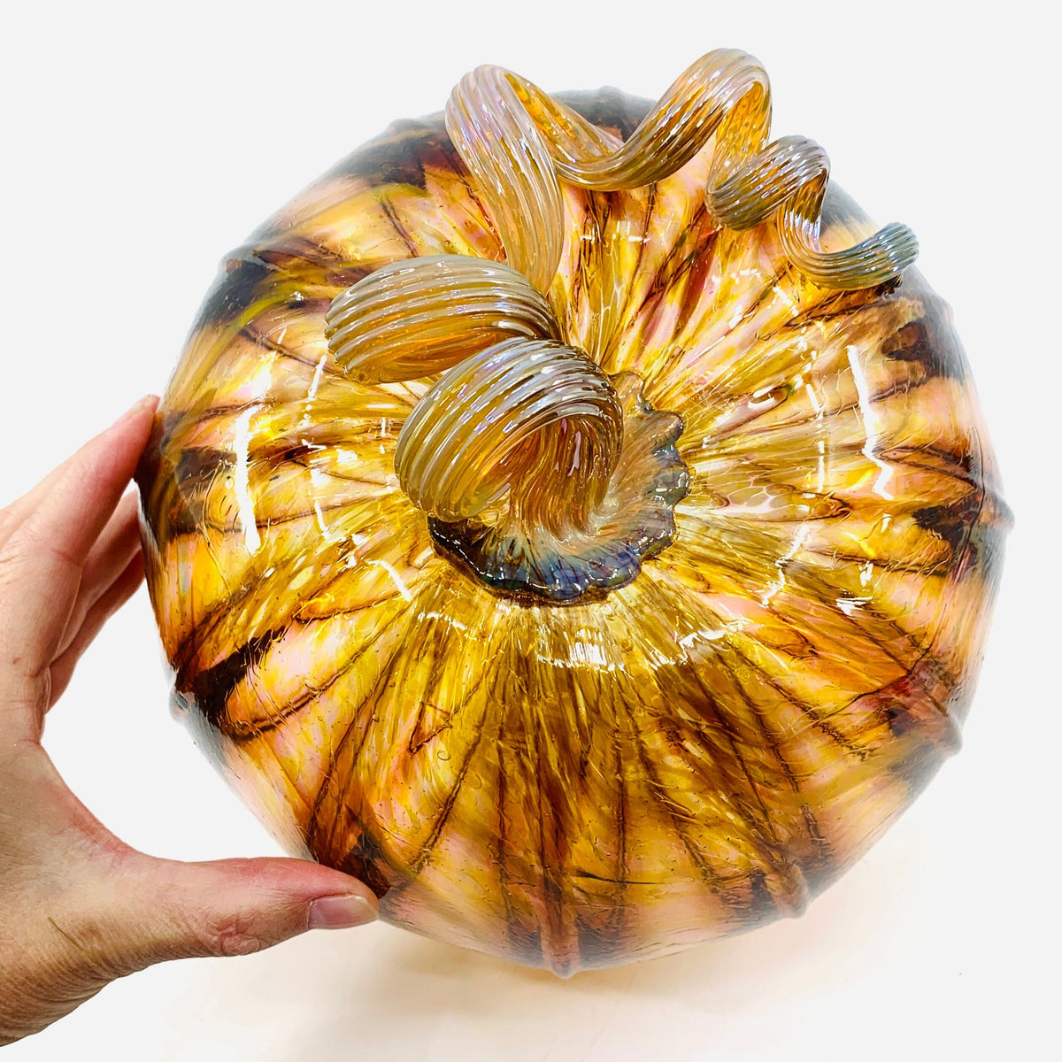 Daily Pumpkin 1465 Large Daily Pumpkin Luke Adams Glass Blowing Studio 