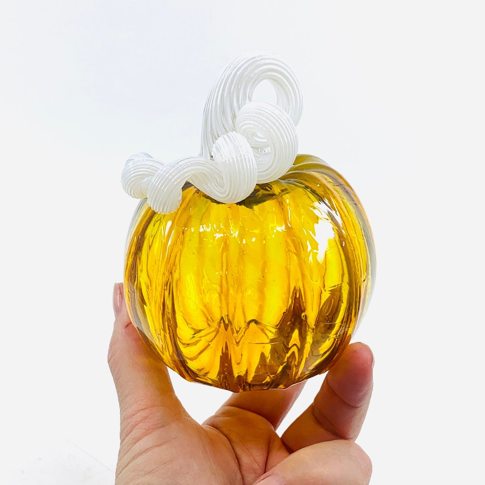 Daily Pumpkin 1620 Mini Daily Pumpkin Luke Adams Glass Blowing Studio 