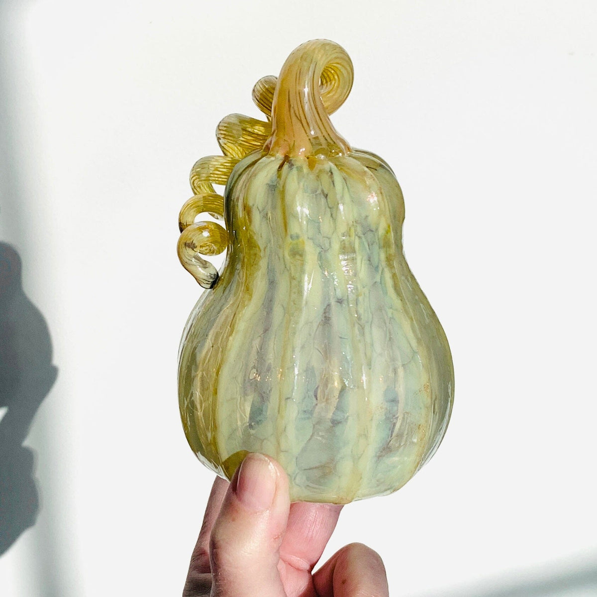 Daily Pumpkin 1704 Gourd Daily Pumpkin James Bilodeau 