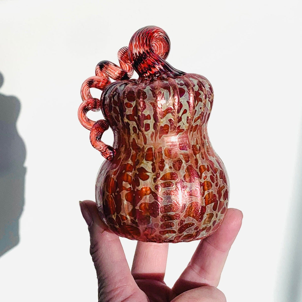 Daily Pumpkin 1824 Shimmer Gourd Daily Pumpkin James Bilodeau 