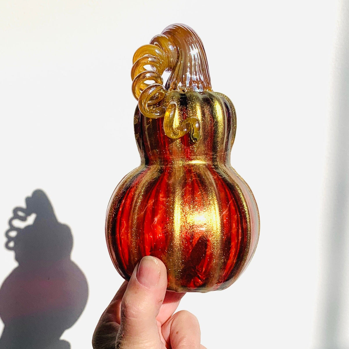 Best Pumpkin of the Day 1828 Shimmer Gourd Daily Pumpkin James Bilodeau 