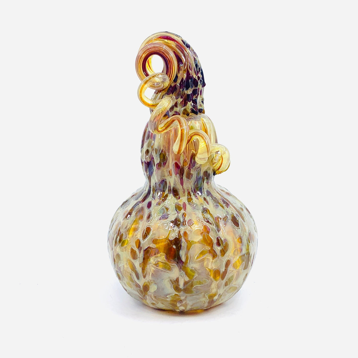 Daily Pumpkin 1862 Gourd Daily Pumpkin James Bilodeau 