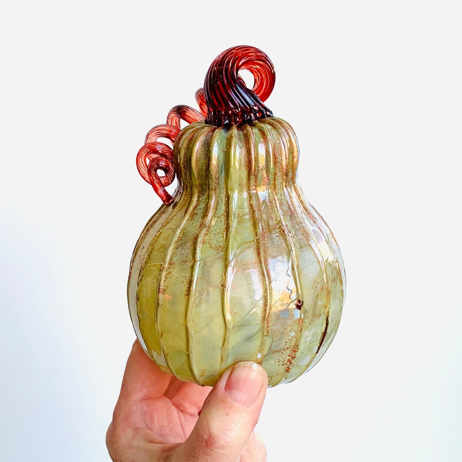 Daily Pumpkin 1874 Gourd Daily Pumpkin James Bilodeau 