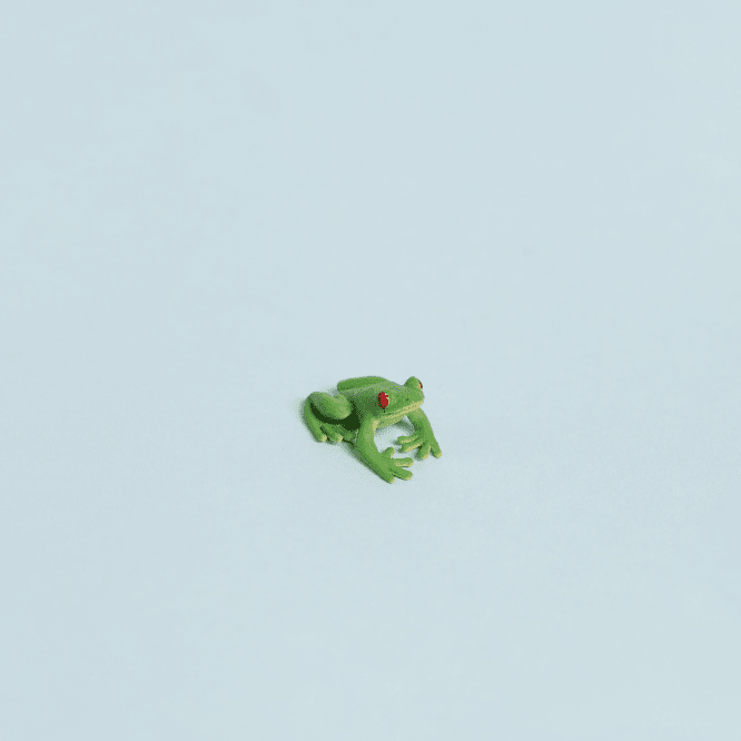 Tiny Rubber Tree Frog Safari Ltd 