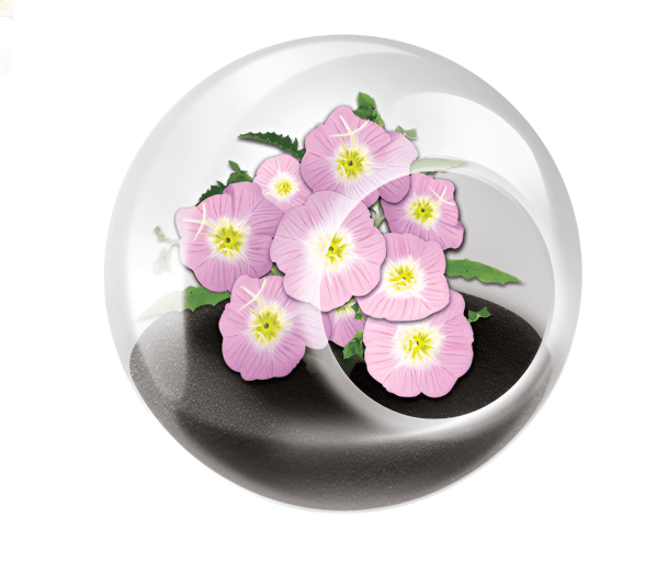 Tiny Terrarium, Pretty Primrose Silver Circle Products 