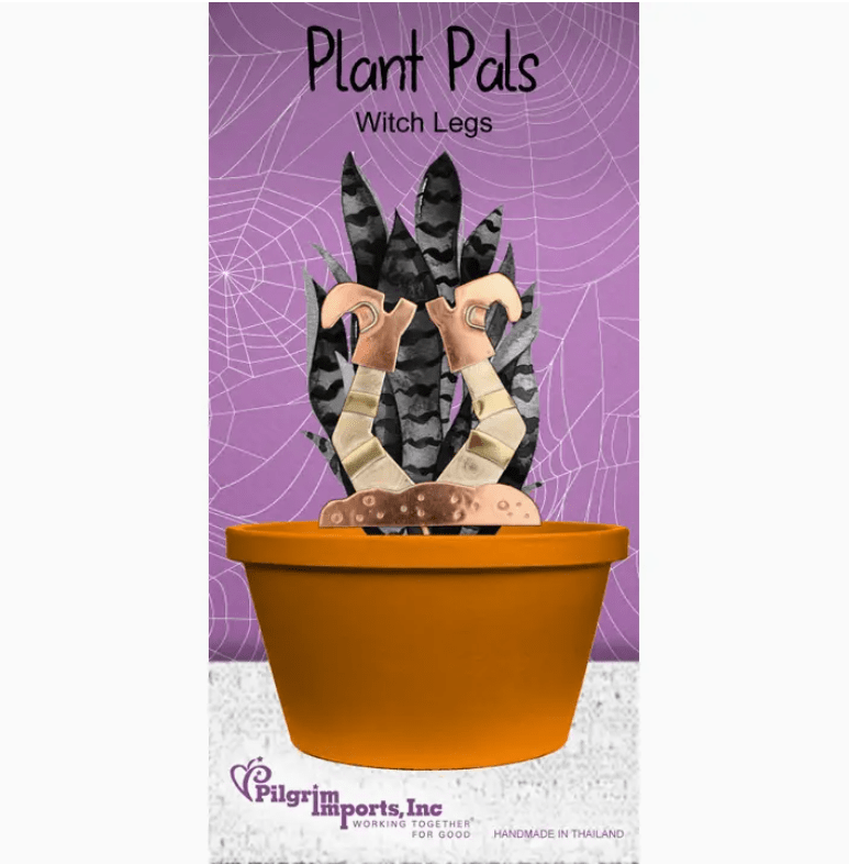 Halloween Plant Pals 11, Witch Legs Miniature Pilgrim Imports 
