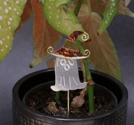 Halloween Plant Pals 8, Ghost Miniature Pilgrim Imports 