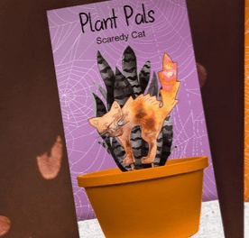 Halloween Plant Pals 10, Scaredy Cat Miniature Pilgrim Imports 