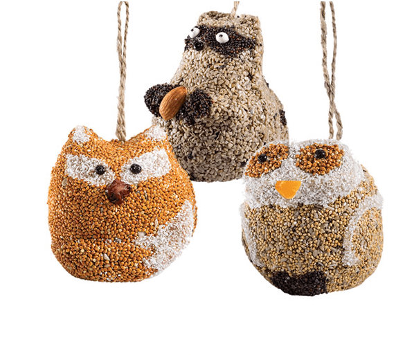 Wild Bird Seed Outdoor Woodland Friends, Racoon Mr Bird 