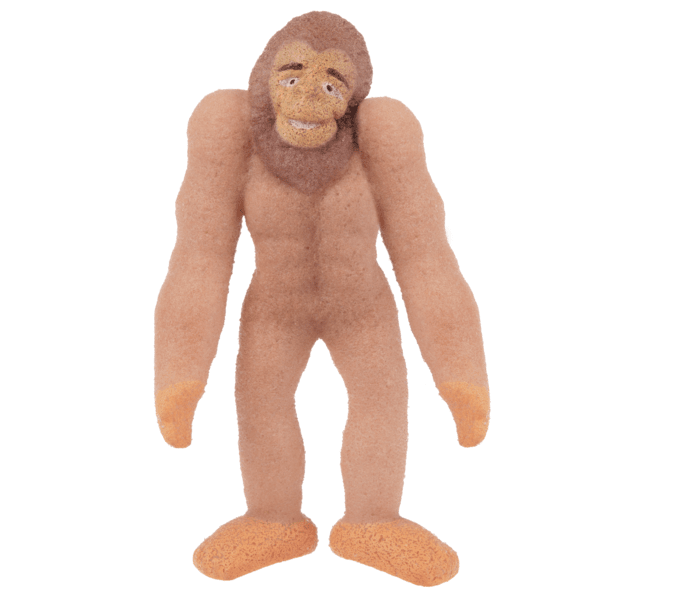 Grow Your Own Bigfoot GANZ 