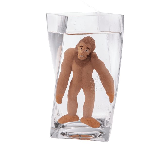 Grow Your Own Bigfoot GANZ 