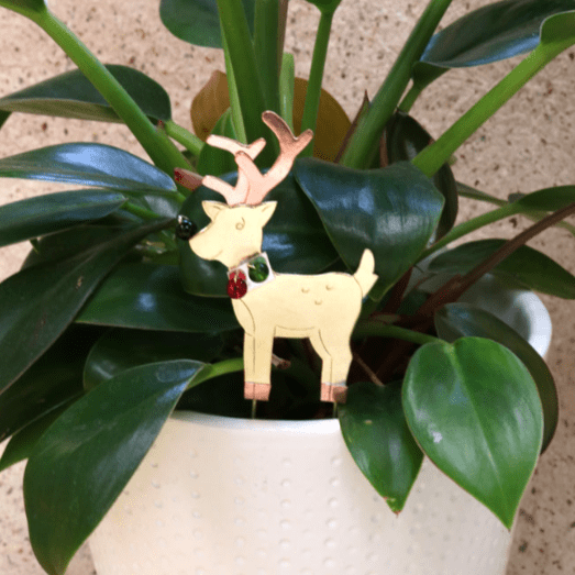Christmas Plant Pals, Reindeer Miniature Pilgrim Imports 
