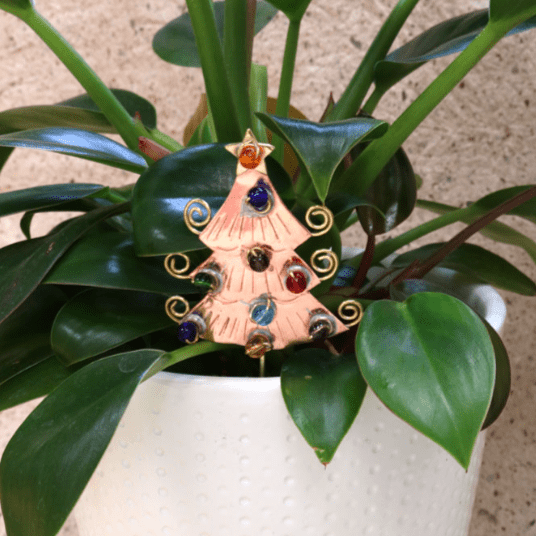 Christmas Plant Pals, Festive Tree Miniature Pilgrim Imports 